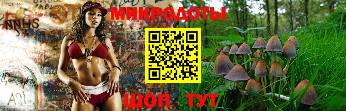 Галлюциногенные грибы мицелий  продажа наркотиков  Ачхой-Мартан  Вход с VPN  Галлюциногенные грибы Psilocybine cubensis 