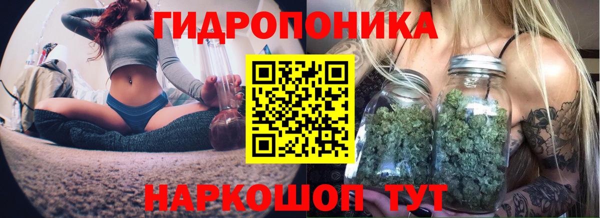 Ачхой-Мартан  Каннабис VHQ  Канабис Amnesia  Вход с VPN  Бошки марихуана гибрид 