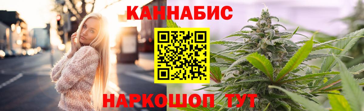 Каннабис индика Ачхой-Мартан